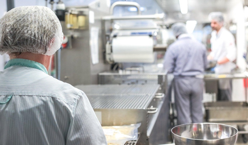 Commercial Factory Development